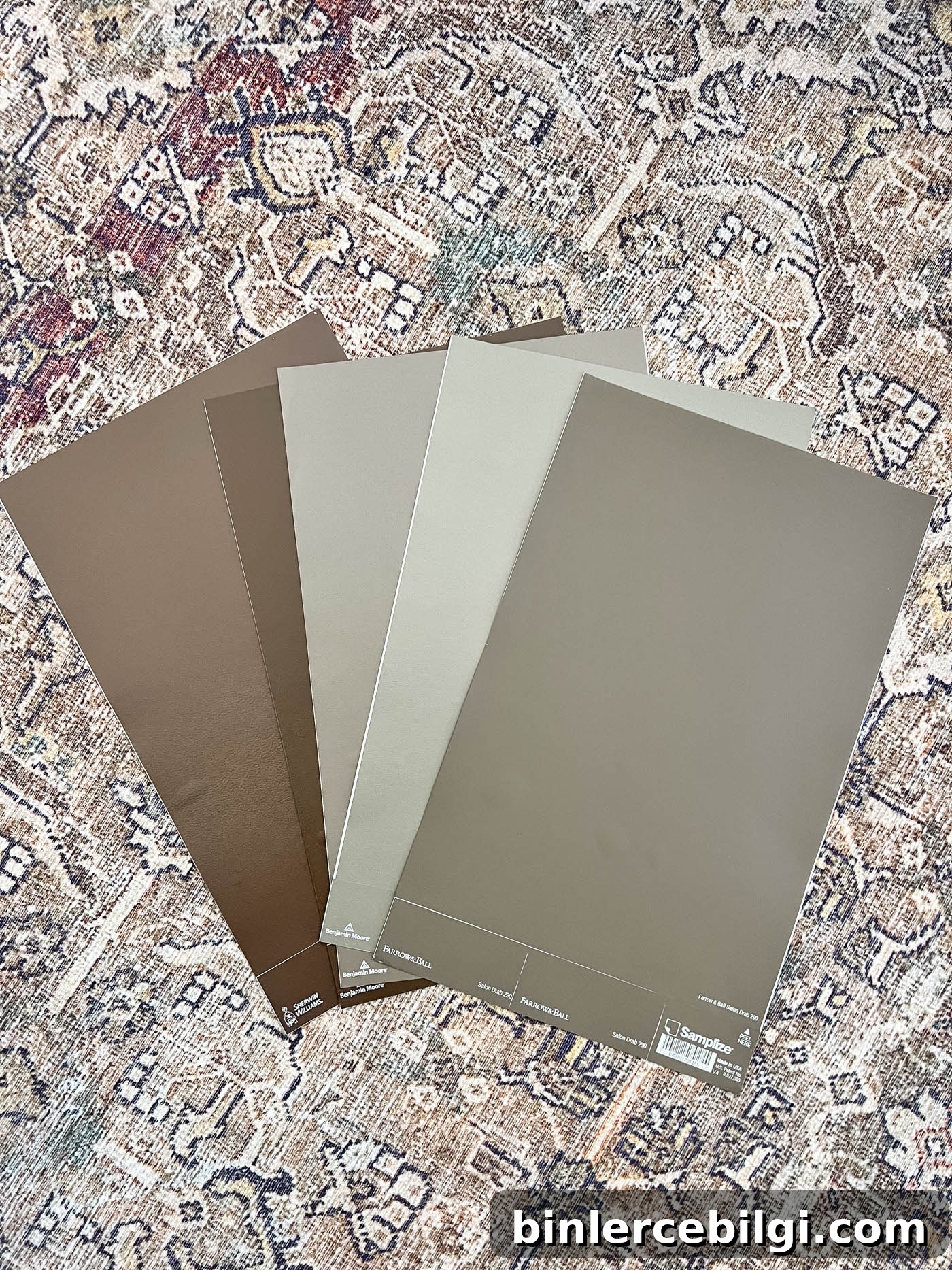 fan of paint swatches on the floor.