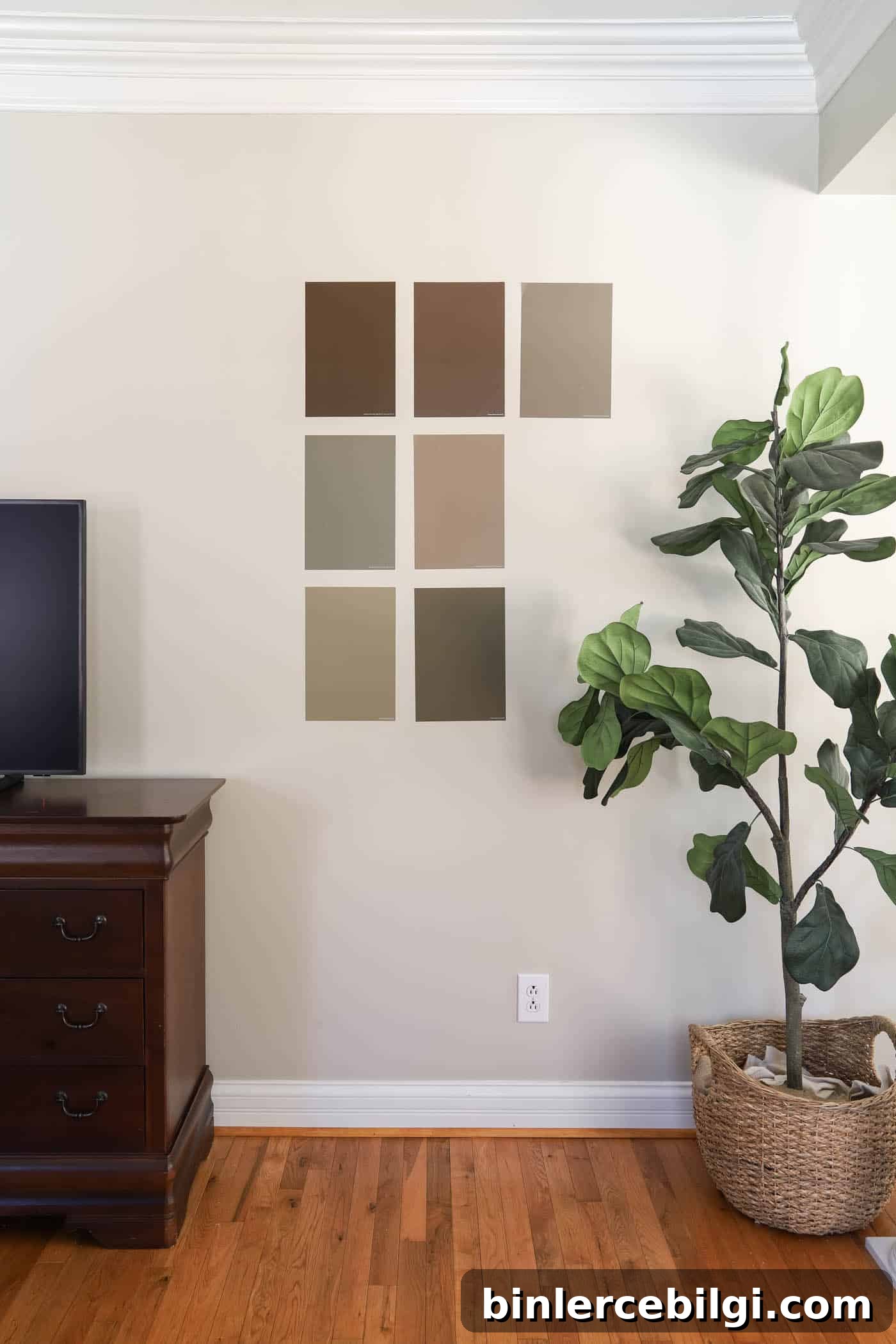 paint samples on the wall