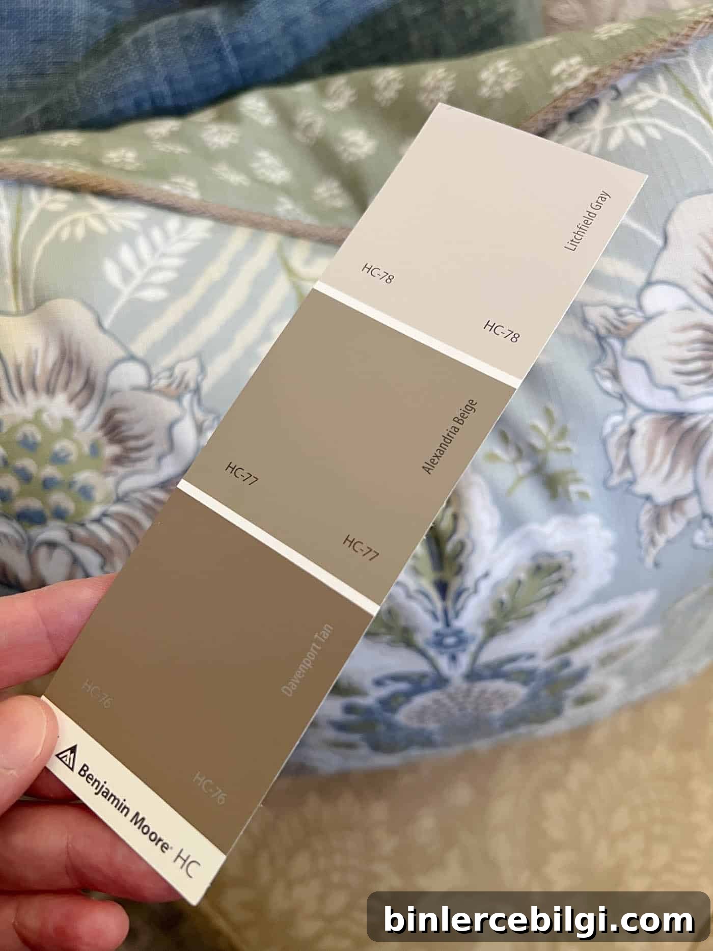 brown paint color paint swatch next to a throw pillow