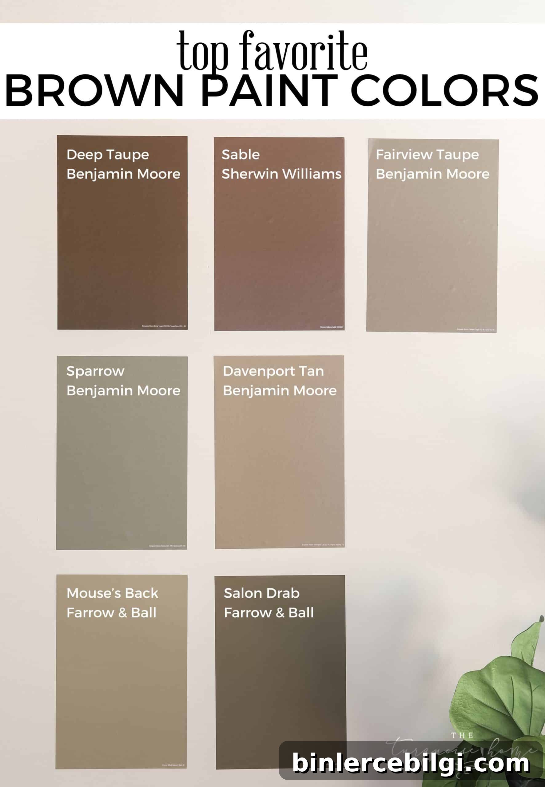 top favorite brown paint colors