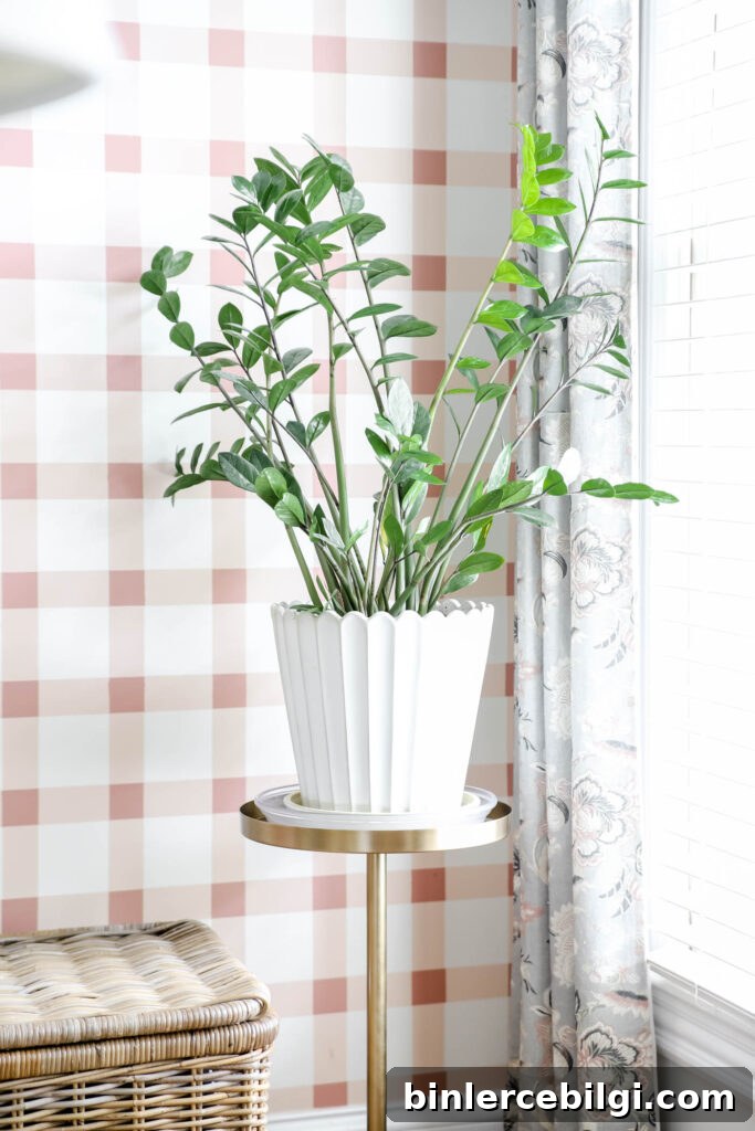 Timeless Home Decor Essentials to Elevate Your Space 7 ZZ plant in a scalloped plant with a plaid pink and white wall behind it.