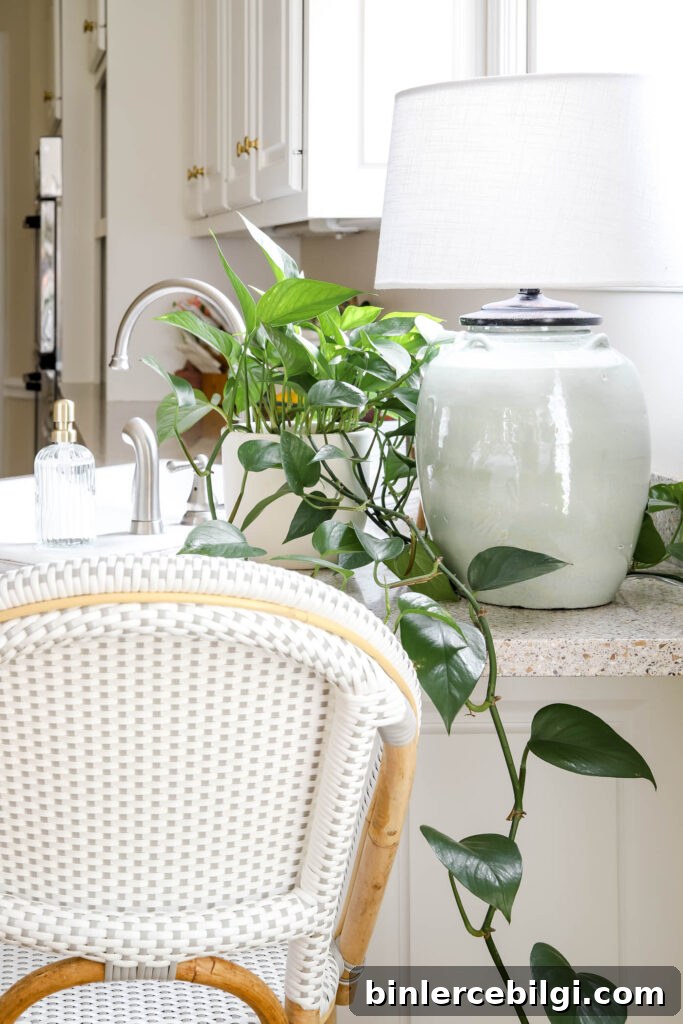 Timeless Home Decor Essentials to Elevate Your Space 8 Pothos Plant on Kitchen Counter Decor