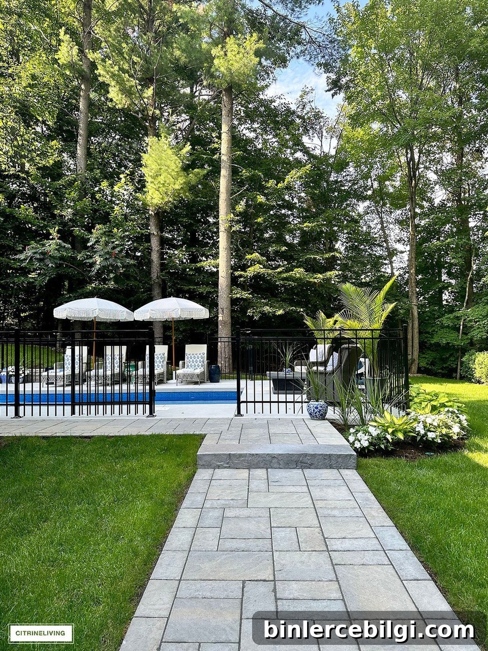 Resort style pool and backyard oasis