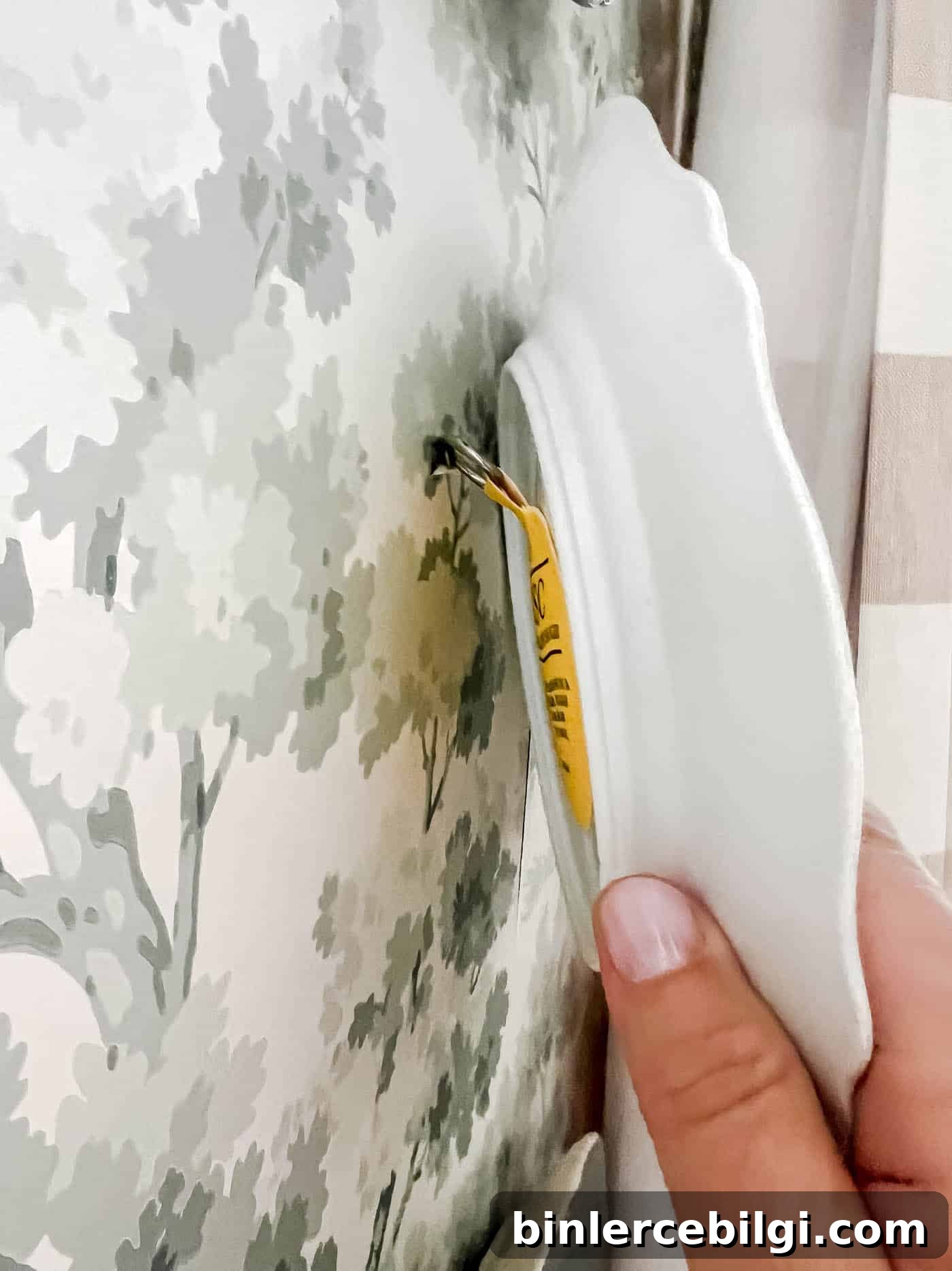 Hang a plate on a wall with a screw and adhesive disc.