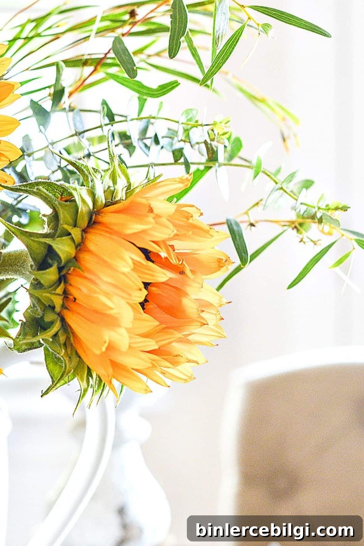 decorating with sunflowers