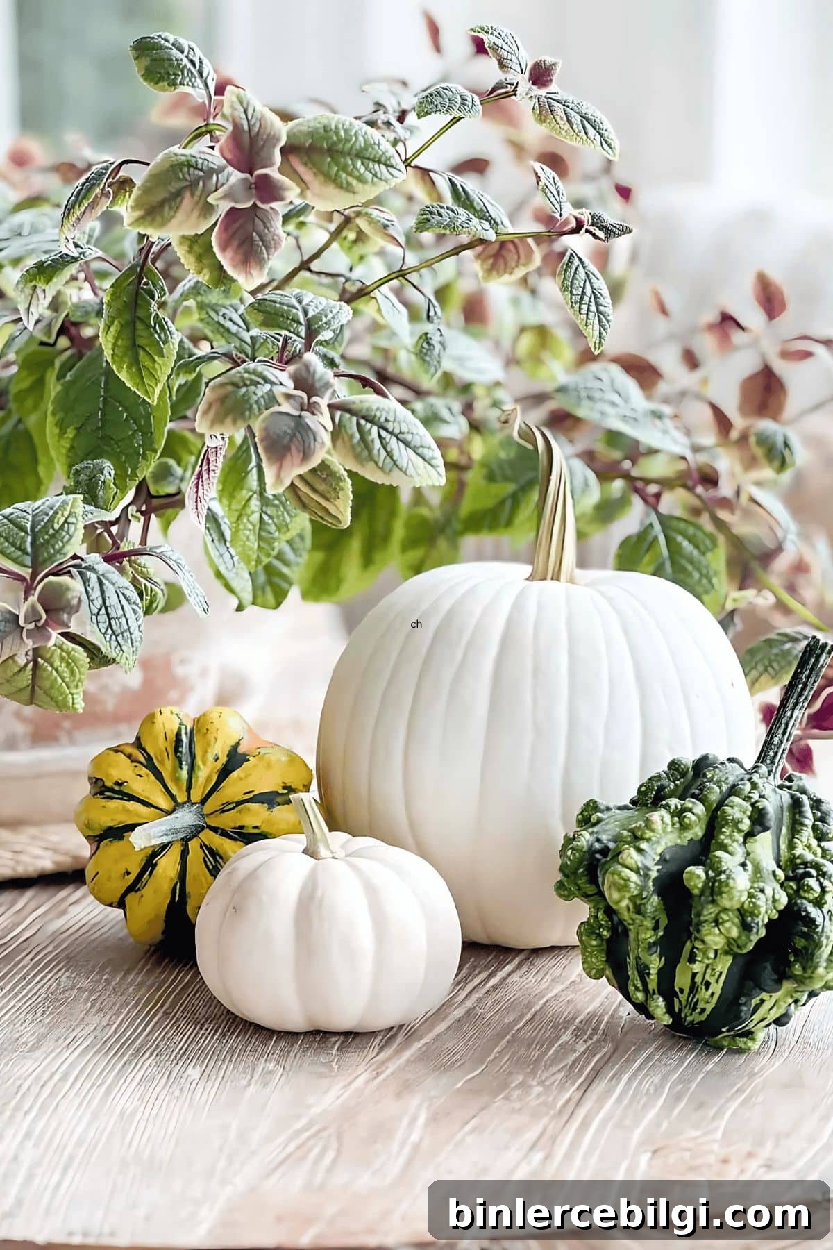 Beautiful Fall Decorating Trends You Will Love