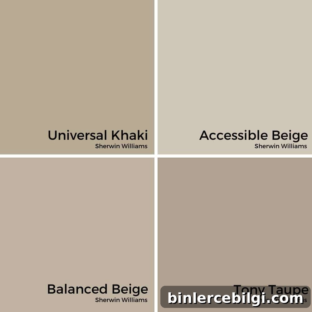 Universal Khaki vs. Other Paint Colors