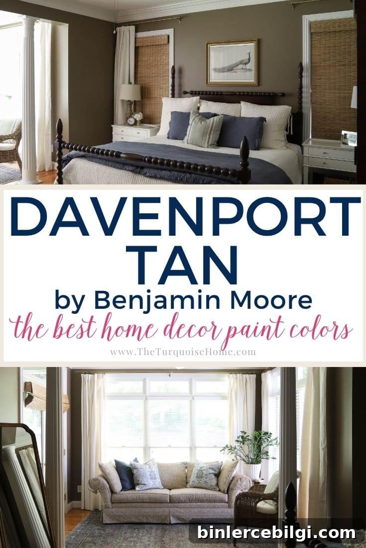 Davenport Tan by Benjamin Moore paint spotlight