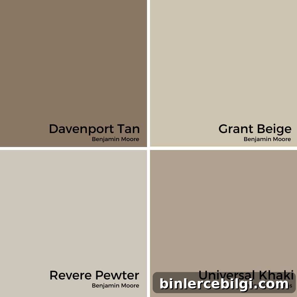 Davenport Tan vs. Other Paint Colors