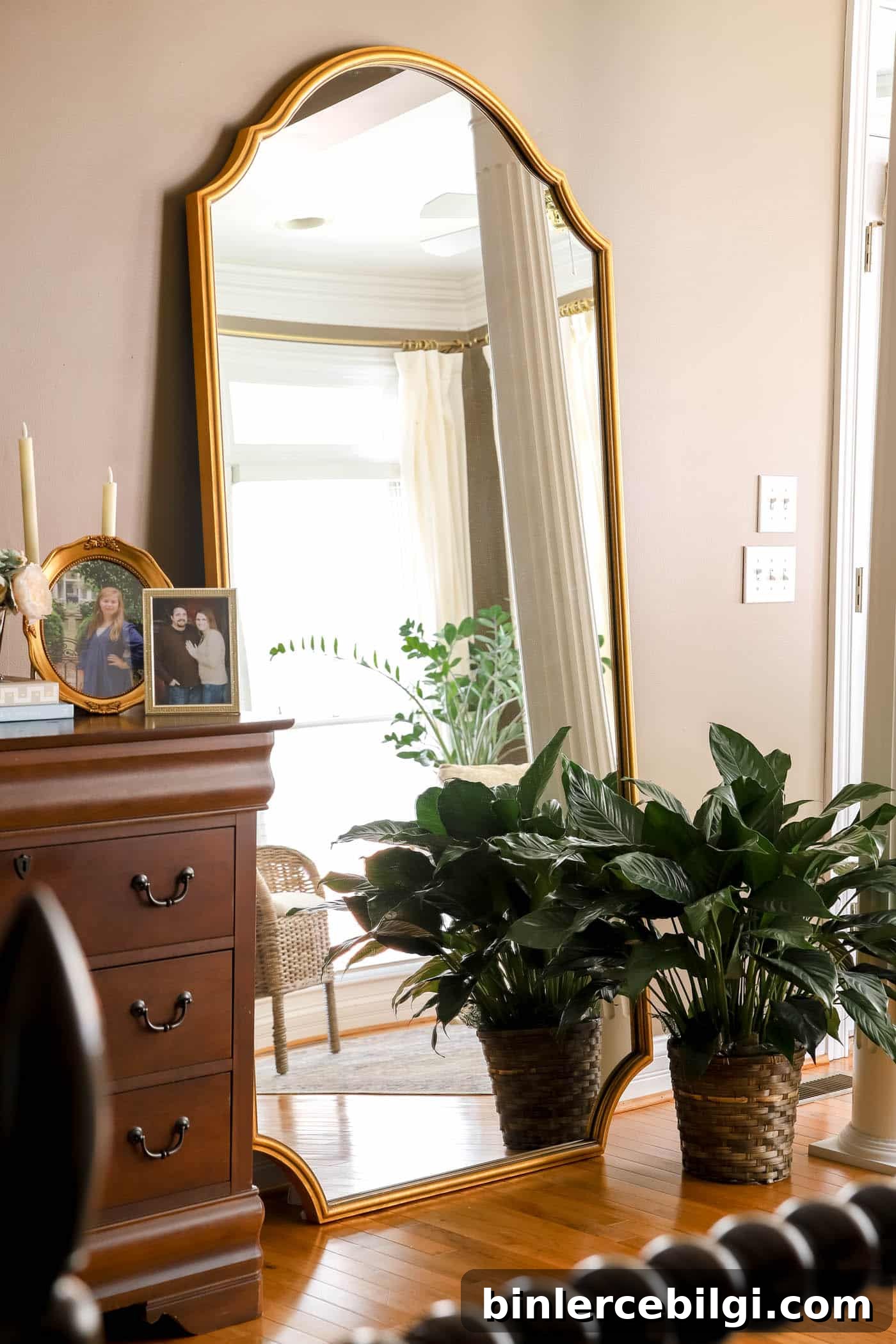 large leaning mirror with a large plant next to it