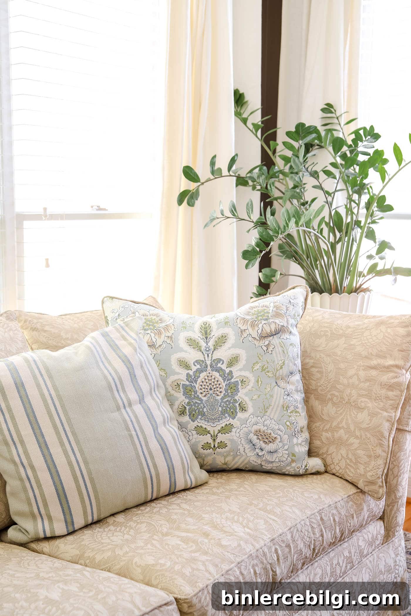 large ZZ plant in the bedroom sitting room
