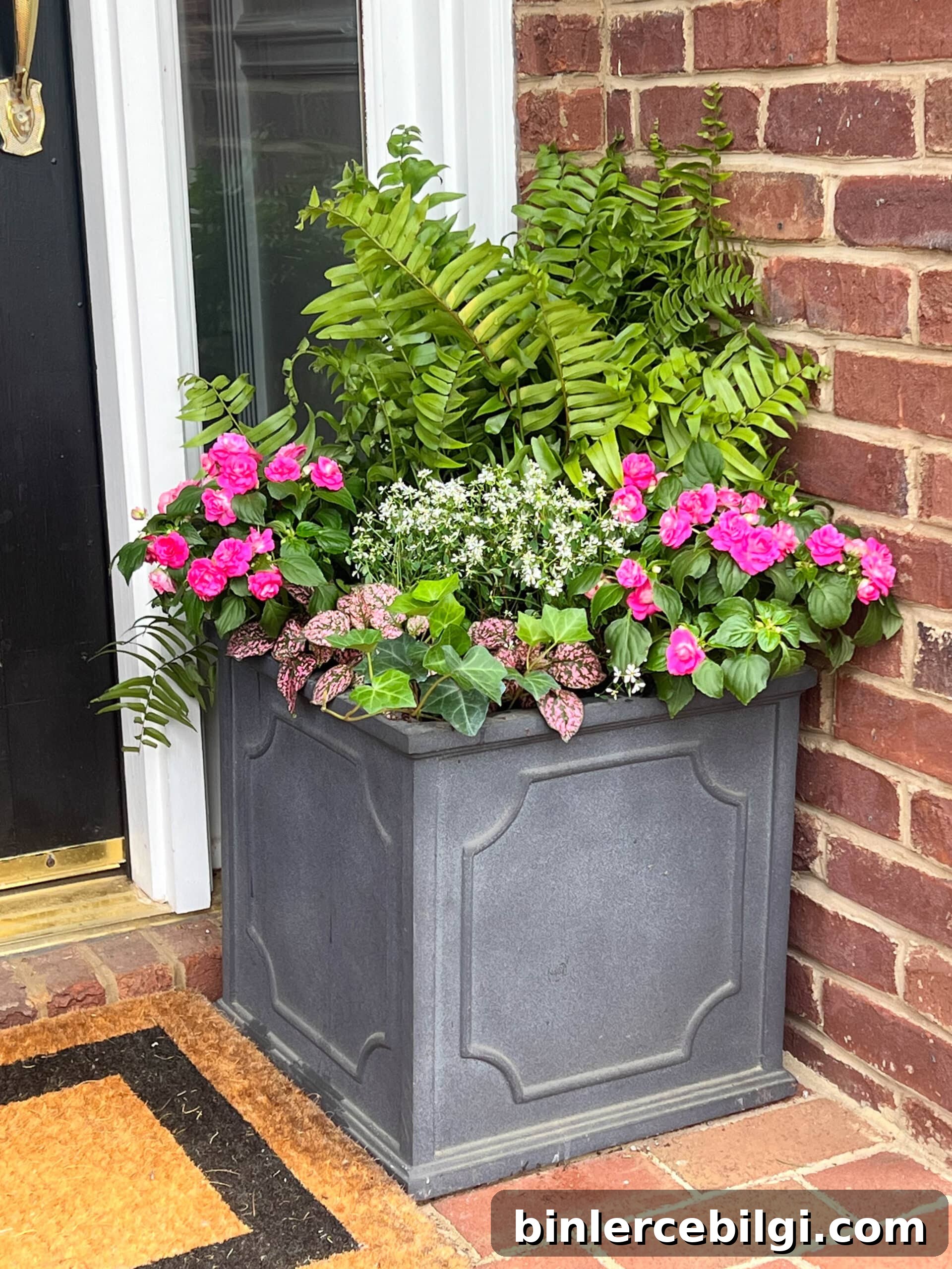 how to plant flowers in a planter