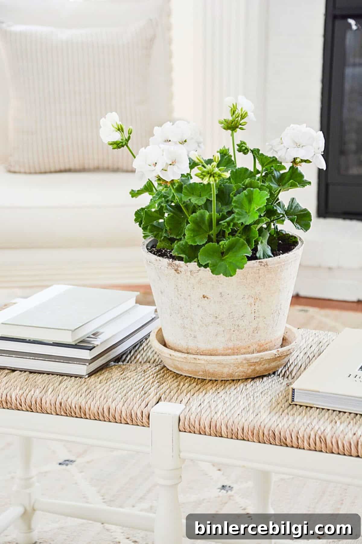 Summer Home Decor: Fresh Flower Arrangements and DIY Lampshades 11 Using Summer Annuals And Perennials To Decorate Your Home Indoors