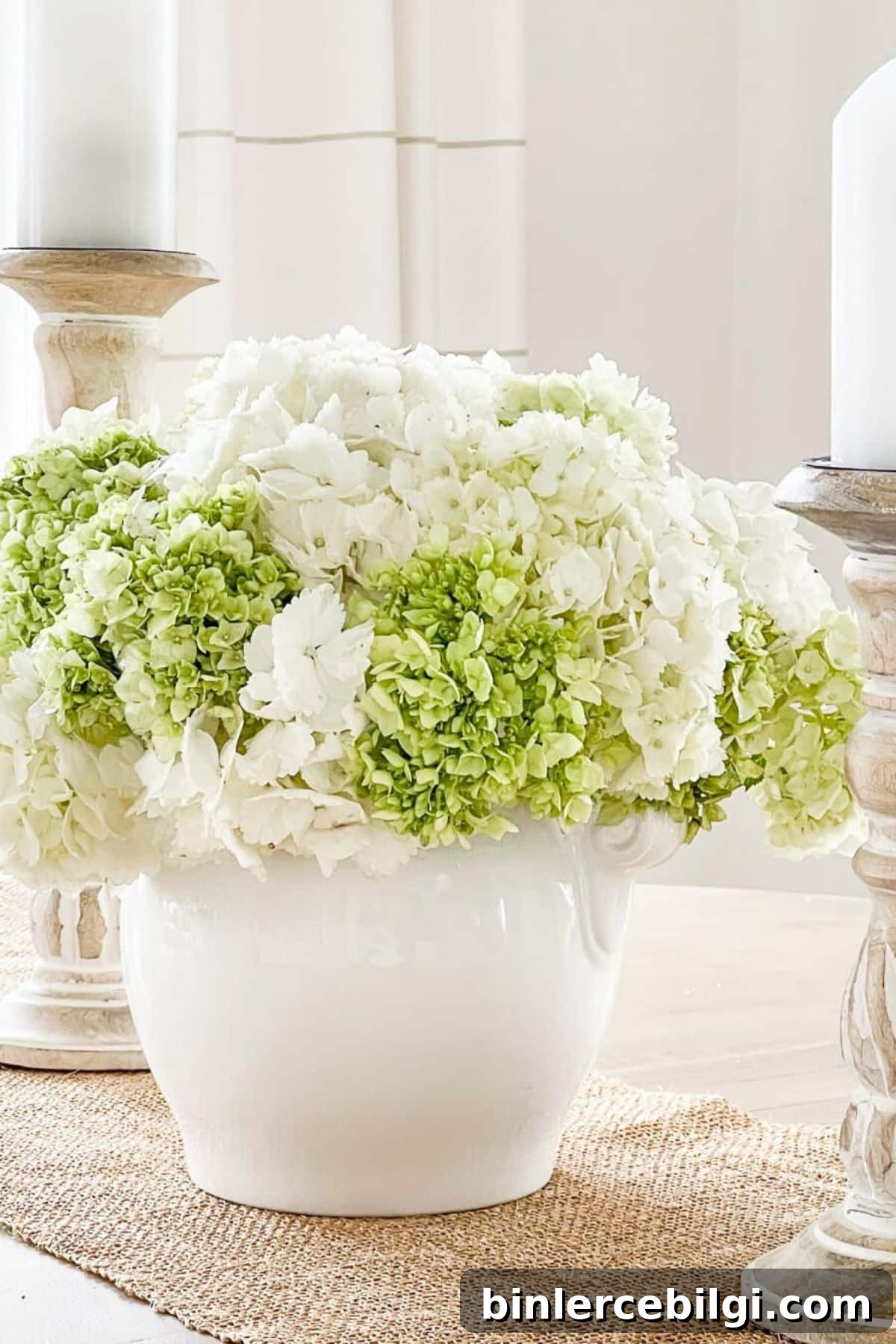 How To Keep Cut Hydrangeas Fresh Longer