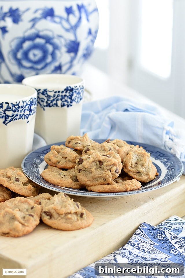 peanut butter cookies