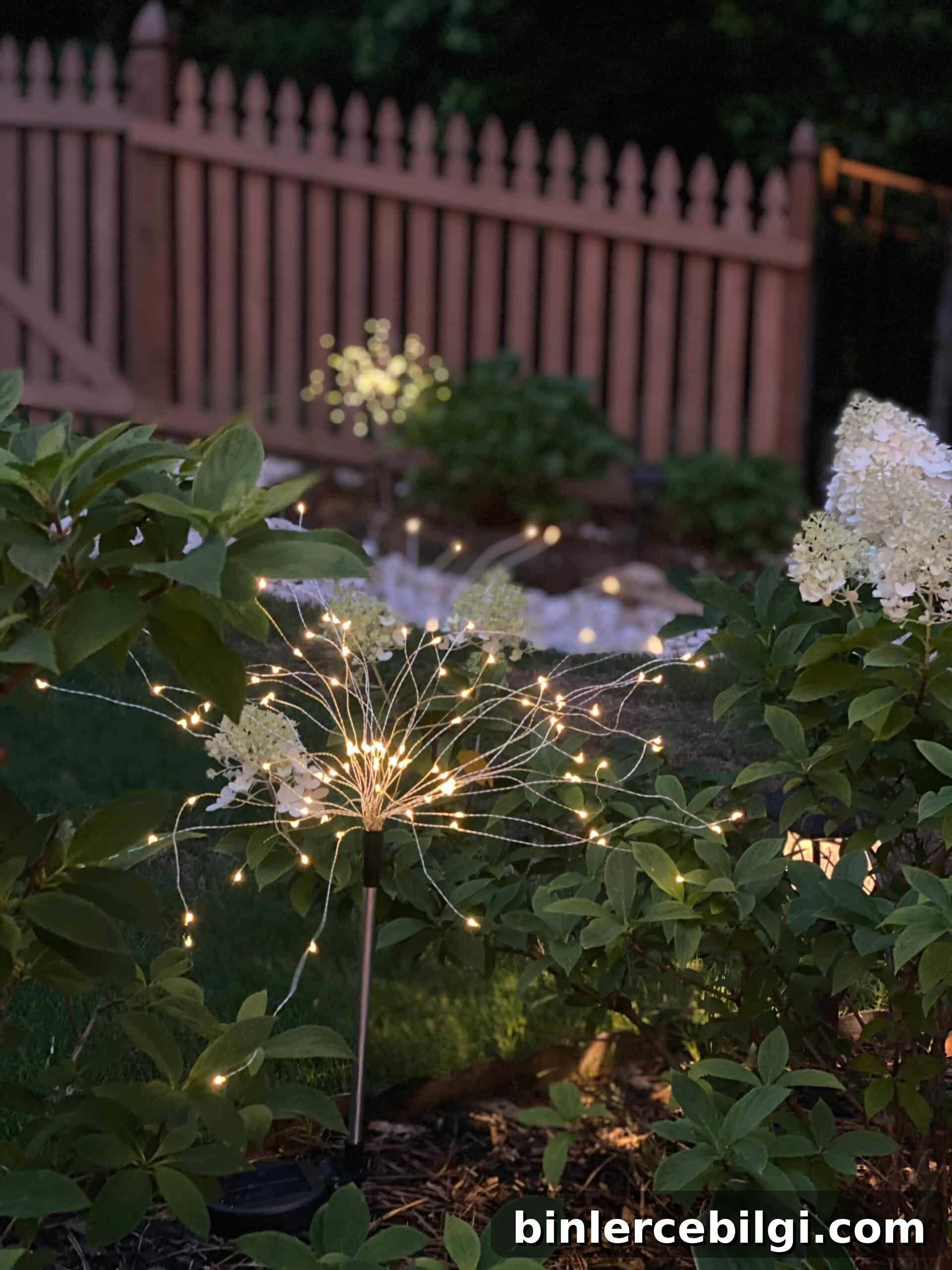 lighting up the backyard
