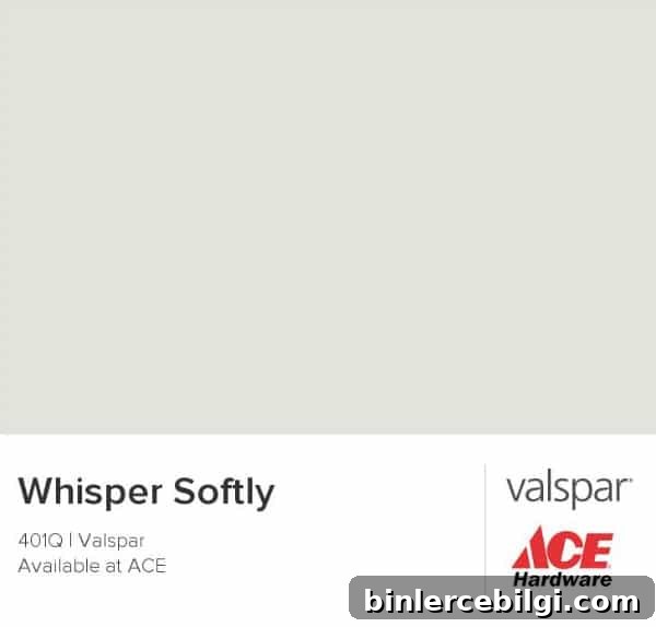 Whisper Softly from Valspar | DIY Painted Drop Cloth Rug | TheTurquoiseHome.com