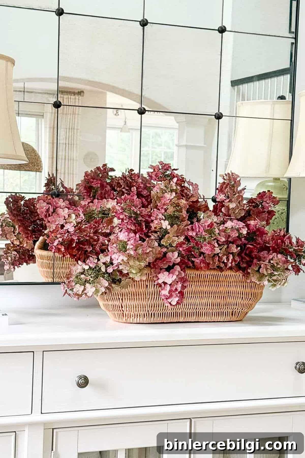 dried hydrangea blooms
