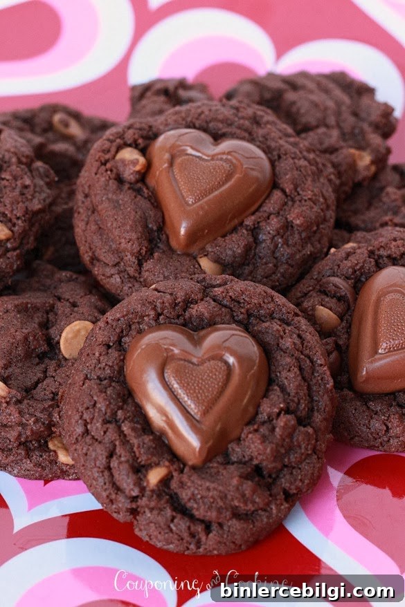 peanut_butter_cookie 6349