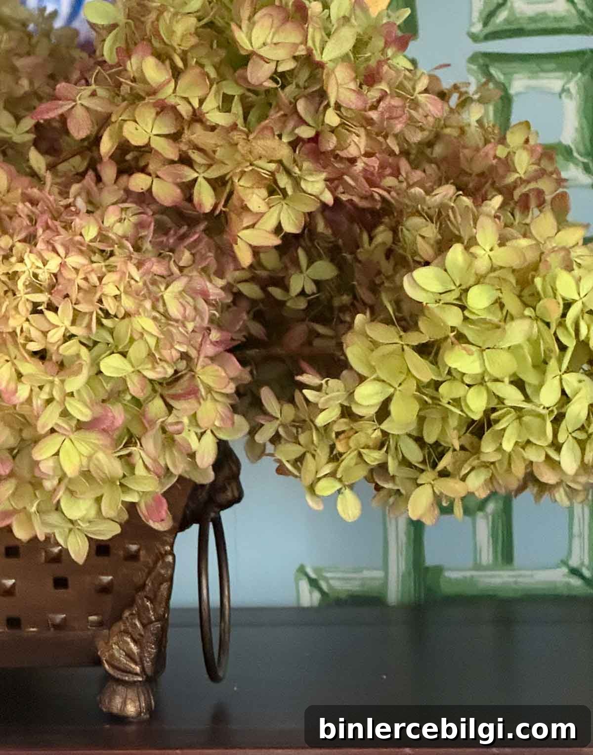 hydrangeas 12 Fall Color Palettes to Inspire You