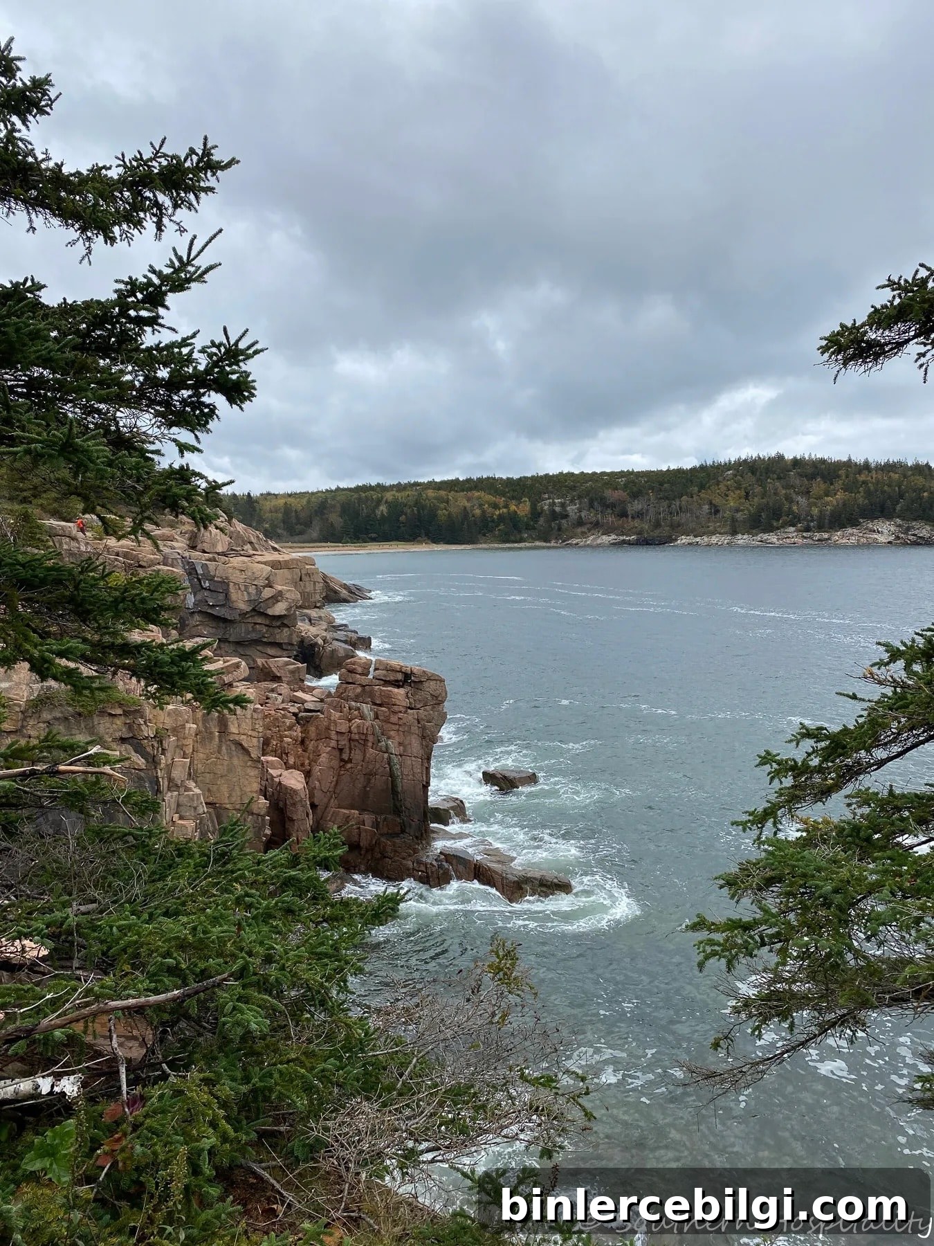Fall in Bar Harbor Maine